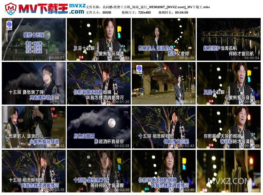 高向鹏-忧愁十五暝_闽南_流行_ME902067
